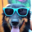 Petrukio