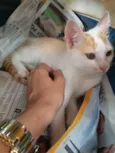 Tony