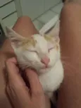 Tony