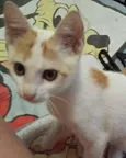 Tony