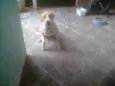 Paçoca