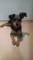 Nina