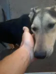 Lola