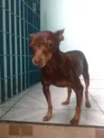 matilda