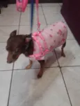 matilda
