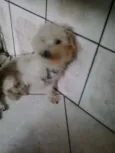 Nick