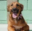 Izabellinha!!