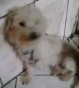 Nick