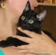 Tina T