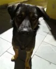 Nacho