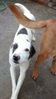 Bandit