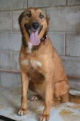 Izabellinha!!