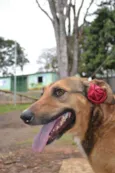 Izabellinha!!
