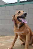 Izabellinha!!