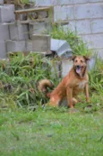 Izabellinha!!