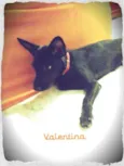 Valentina