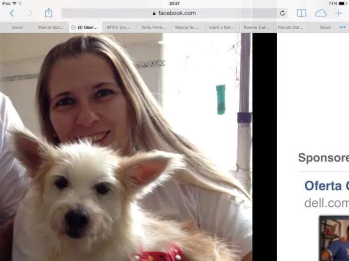 Cachorro ra a SRD idade 2 anos nome Arthur