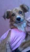 Ritinha