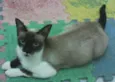 Mia
