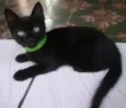 nilo