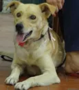 Lupita