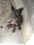 Simba