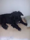 Bob