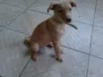 Nina