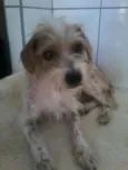 Vitória