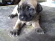 Doçura/Precioso