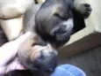 Doçura/Precioso