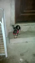 Bebê