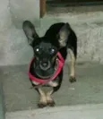 Bebê