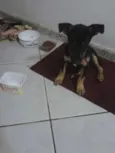espuleta