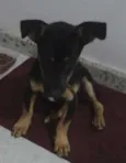 espuleta