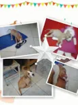 BRADOCK