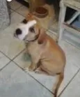 BRADOCK