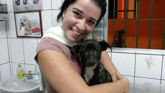 Cachorro ra a Vira-Lata idade 2 a 6 meses nome Sem nome