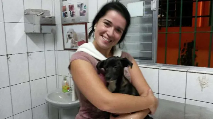 Cachorro ra a Vira-Lata idade 2 a 6 meses nome Sem nome