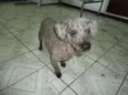 Denny