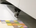 Lulu