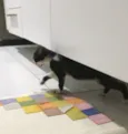 Lulu