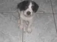 sem nome definido