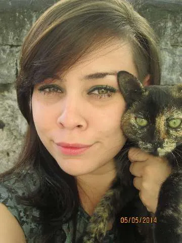 Gato raça ndf idade 2 a 6 meses nome me adote por favor 