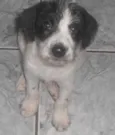 sem nome definido