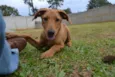ABEL, 10 MESES!