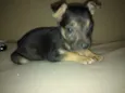 Julie
