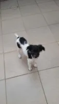 Molly