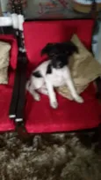 Molly