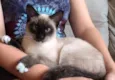 SUSI